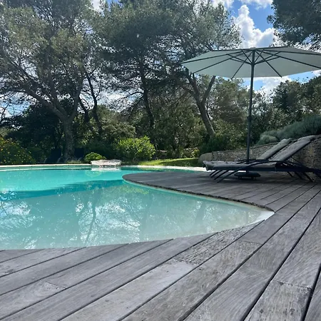 A L'ombre Des Pins Nimes