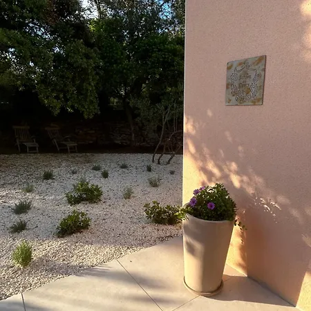 Guest house A L'ombre Des Pins Nimes