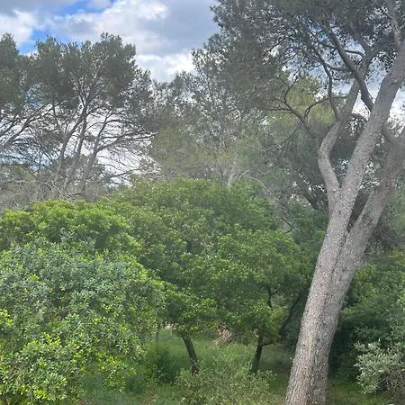 A L'ombre Des Pins Guest house