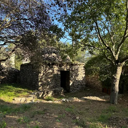 A L'ombre Des Pins * Nîmes
