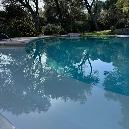 Guest house A L'ombre Des Pins Nimes