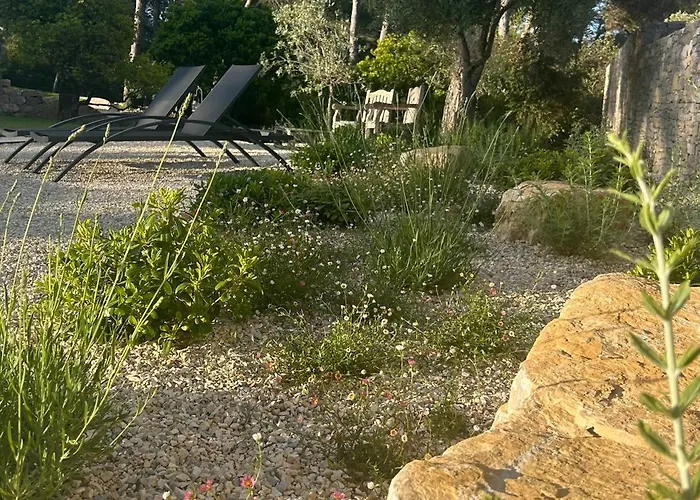 A L'ombre Des Pins Maison d'hôtes
