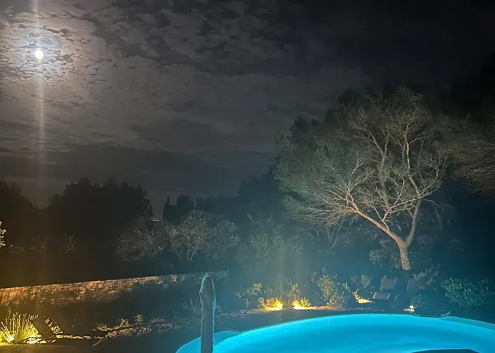 A L'ombre Des Pins *