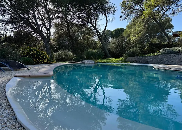 A L'ombre Des Pins *