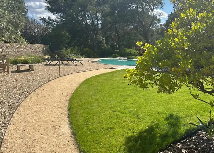 A L'ombre Des Pins *