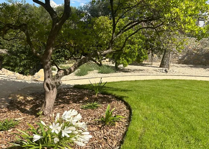 A L'ombre Des Pins Maison d'hôtes *