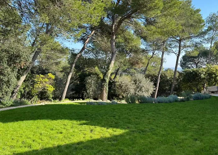 A L'ombre Des Pins *