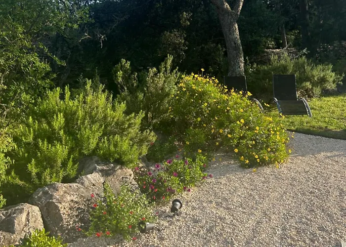 A L'ombre Des Pins Nîmes