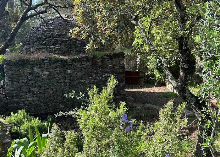 A L'ombre Des Pins * Nîmes